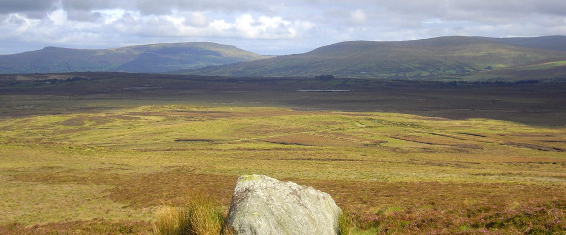 Which Landscape Is Bleak 
