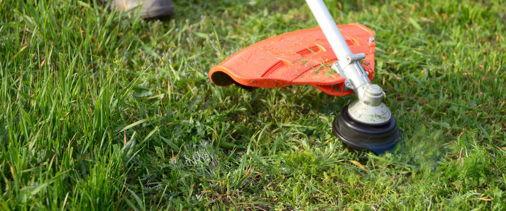 What landscaping tools do i need?