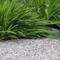 Will landscaping fabric kill weeds?