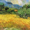 What are the 3 parts of a landscape?