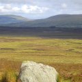 Which landscape is bleak?