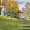 What are the steps to landscape?