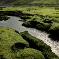 What are the 4 main landscapes?