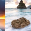 What are the 3 types of landscape?