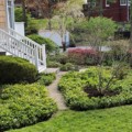 Landscaping where to buy?