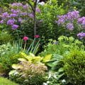 What landscaping zone do i live in?