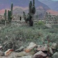 What are the 4 types of landscape?