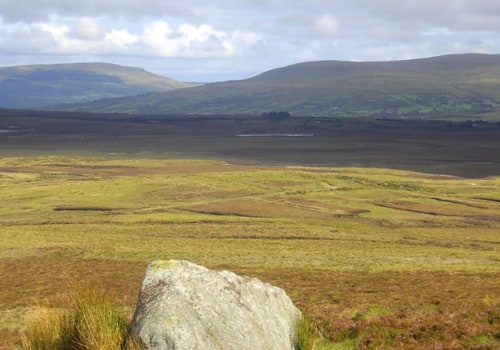Which landscape is bleak?