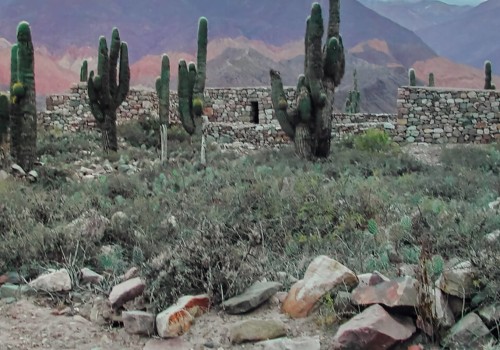 What are the 5 types of landscapes?