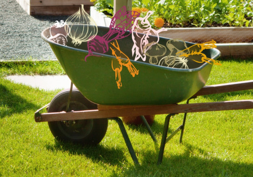 How do you start landscaping for beginners?