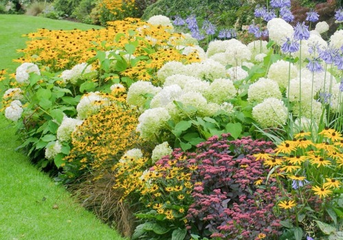 What landscaping zone am i in?