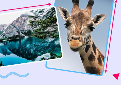 Where landscape orientation?