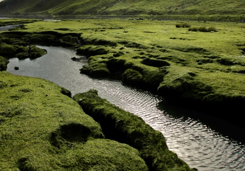 What are the 4 main landscapes?