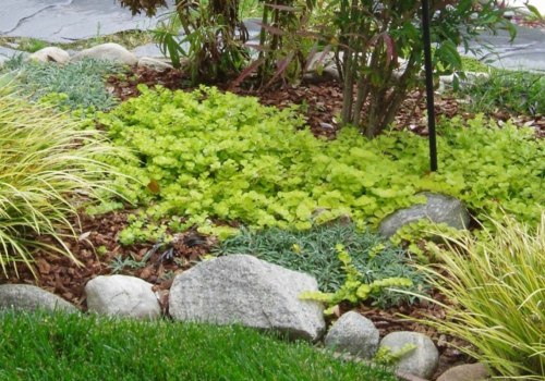 What are the different kinds of landscaping?