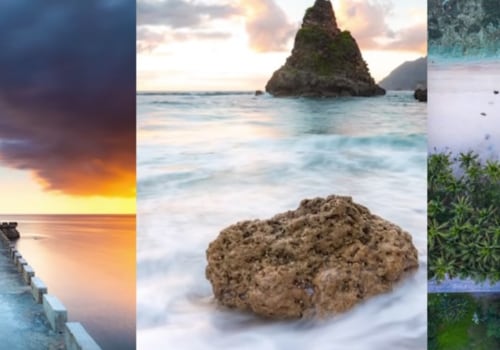 What are the 3 types of landscape?