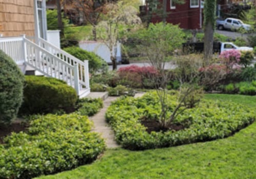 Landscaping where to buy?