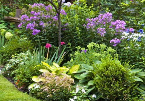 What landscaping zone do i live in?